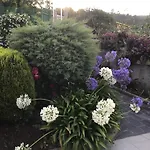 ホテル Complexo Alameda 2*
