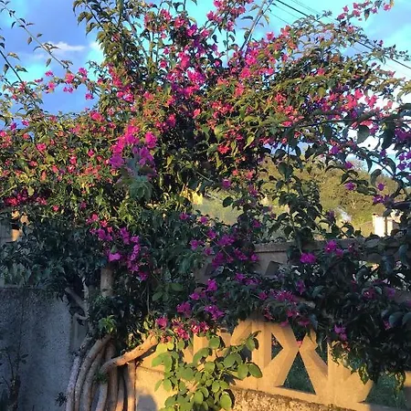 Hotel Complexo Alameda 2*