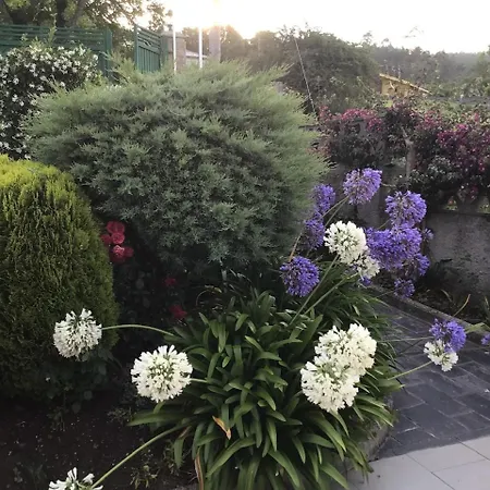 Hotel Complexo Alameda 2*