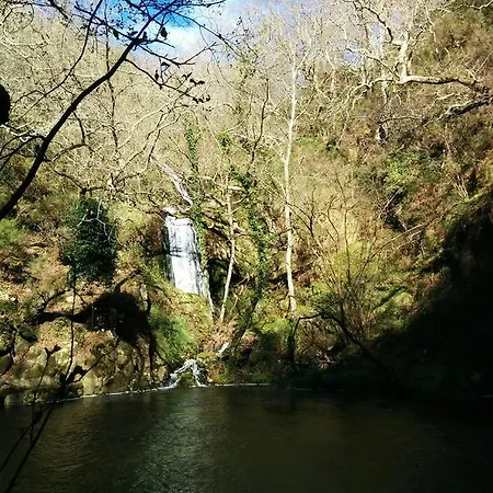 Complexo Alameda Viveiro