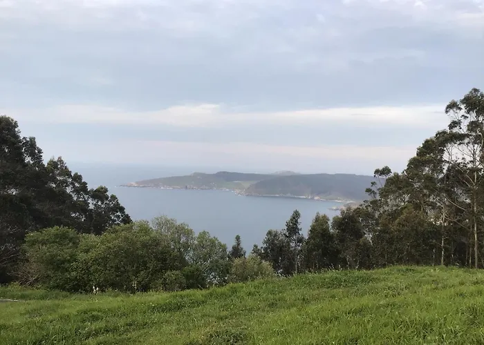 Complexo Alameda 2* Viveiro