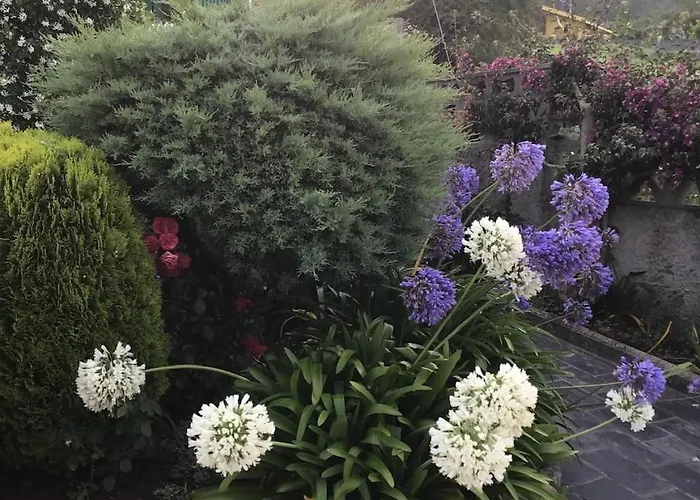 Hotel Complexo Alameda 2*