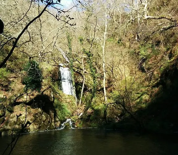 Complexo Alameda Viveiro